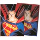 Dragon Shield Art License: Superman — Протектори 100 шт.
