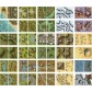 Giant Book of Battle Mats: Wilds, Wrecks & Ruins