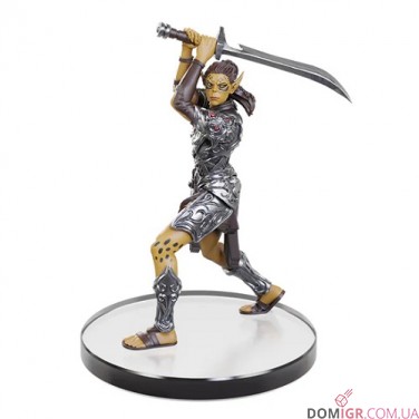 Baldur's Gate 3 Character Boxed Set - D&D Icons of the Realms