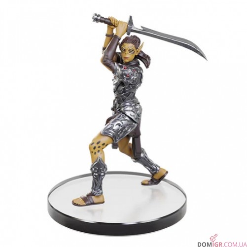 Baldur's Gate 3 Character Boxed Set - D&D Icons of the Realms