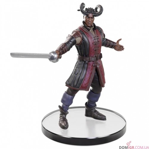 Baldur's Gate 3 Character Boxed Set - D&D Icons of the Realms