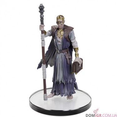 Baldur's Gate 3 Character Boxed Set - D&D Icons of the Realms