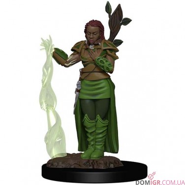 Female Human Druid - D&D Icons of the Realms Premium Figures