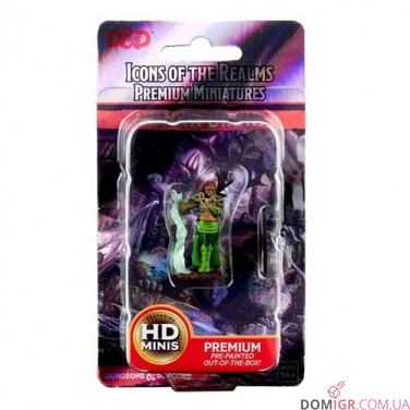 Female Human Druid - D&D Icons of the Realms Premium Figures