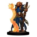 Female Dragonborn Sorcerer - D&D Icons of the Realms Premium Figures
