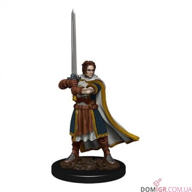 Male Human Cleric - D&D Icons of the Realms Premium Figures