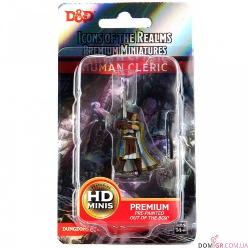 Male Human Cleric - D&D Icons of the Realms Premium Figures