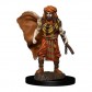 Male Human Druid - D&D Icons of the Realms Premium Figures