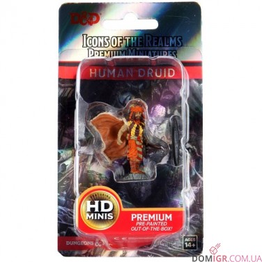 Male Human Druid - D&D Icons of the Realms Premium Figures