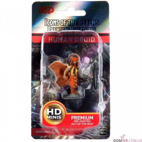Male Human Druid - D&D Icons of the Realms Premium Figures