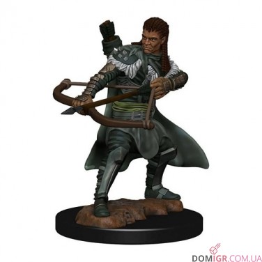 Male Human Ranger - D&D Icons of the Realms Premium Figures