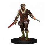 Male Human Rogue - D&D Icons of the Realms Premium Figures