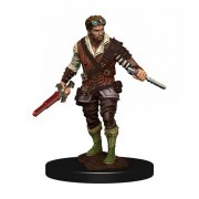 Male Human Rogue - D&D Icons of the Realms Premium Figures
