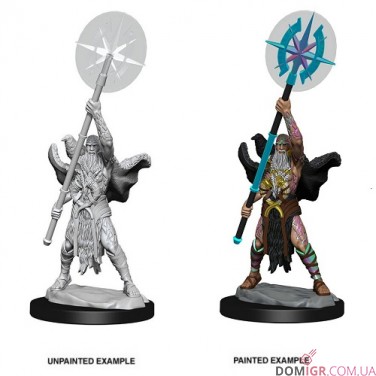 Alrund, God of Wisdom - Magic the Gathering Miniatures - W14