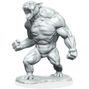 Aeorian Reverser - Critical Role Miniatures - W1