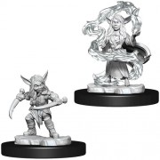 Female Goblin Sorcerer and Rogue - Critical Role Miniatures - W1