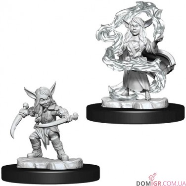 Female Goblin Sorcerer and Rogue - Critical Role Miniatures - W1