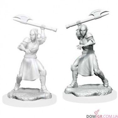 Купить Female Half-Elf Echo Knight and Echo - Critical Role Miniatures - W1 Female Half-Elf Echo Knight and Echo - Critical Role Miniatures - W1