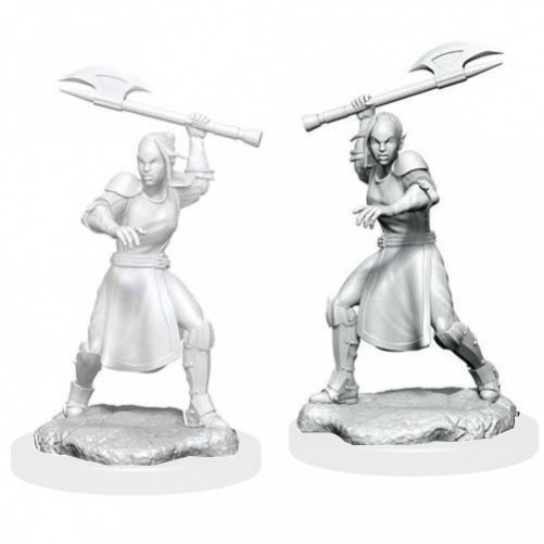 Female Half-Elf Echo Knight and Echo - Critical Role Miniatures - W1