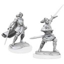 Female Half-Elf Paladin Xhorhas - Critical Role Miniatures - W1