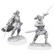 Female Half-Elf Paladin Xhorhas - Critical Role Miniatures - W1