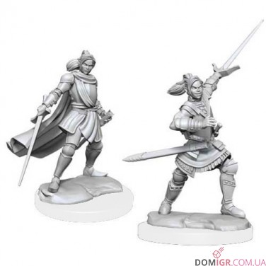 Female Half-Elf Paladin Xhorhas - Critical Role Miniatures - W1