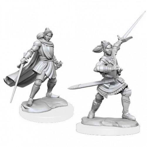 Female Half-Elf Paladin Xhorhas - Critical Role Miniatures - W1