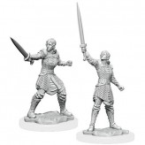 Female Human Dwendalian Empire Fighter - Critical Role Miniatures - W1