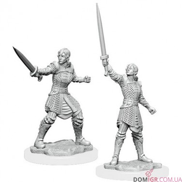 Female Human Dwendalian Empire Fighter - Critical Role Miniatures - W1