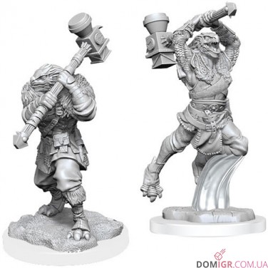 Female Ravenite Half-Dragon Barbarian - Critical Role Miniatures - W1