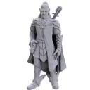 Dorian Storm - Critical Role Miniatures