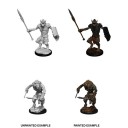 Gnoll & Gnoll Flesh Gnawer - D&D Nolzur's Marvelous Miniatures - W12