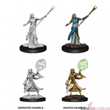 Female Elf Sorcerer - D&D Nolzur's Marvelous Miniatures - W12