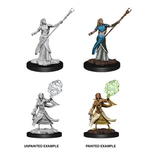 Female Elf Sorcerer - D&D Nolzur's Marvelous Miniatures - W12