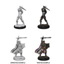 Male Human Paladin - D&D Nolzur's Marvelous Miniatures - W12