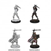 Male Human Paladin - D&D Nolzur's Marvelous Miniatures - W12