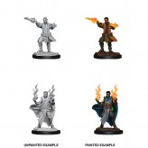 Male Human Sorcerer - D&D Nolzur's Marvelous Miniatures - W12 Купить Male Human Sorcerer - D&D Nolzur's Marvelous Miniatures - W12 (Моделирование)