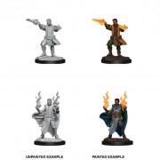 Male Human Sorcerer - D&D Nolzur's Marvelous Miniatures - W12