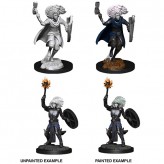 Changeling Cleric - D&D Nolzur's Marvelous Miniatures - W14