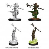 Female Human Druid - D&D Nolzur's Marvelous Miniatures - W14