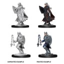 Female Kalashtar Cleric - D&D Nolzur's Marvelous Miniatures - W14