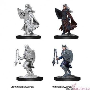 Female Kalashtar Cleric - D&D Nolzur's Marvelous Miniatures - W14