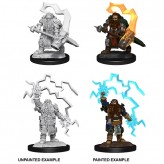 Male Dwarf Cleric - D&D Nolzur's Marvelous Miniatures - W14