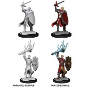 Male Half-Elf Paladin - D&D Nolzur's Marvelous Miniatures - W14