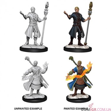 Male Half-Elf Wizard - D&D Nolzur's Marvelous Miniatures - W14