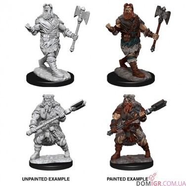 Male Human Barbarian - D&D Nolzur's Marvelous Miniatures - W14