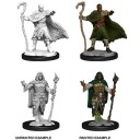 Male Human Druid - D&D Nolzur's Marvelous Miniatures - W14