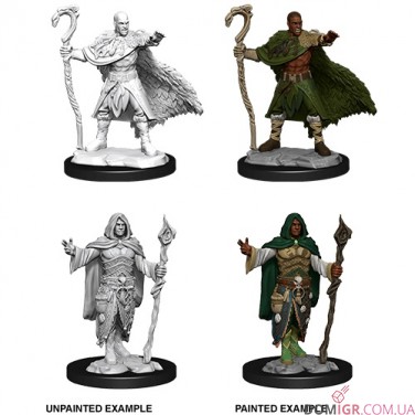 Male Human Druid - D&D Nolzur's Marvelous Miniatures - W14