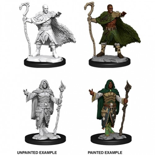 Male Human Druid - D&D Nolzur's Marvelous Miniatures - W14