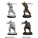 Male Human Paladin - D&D Nolzur's Marvelous Miniatures - W14